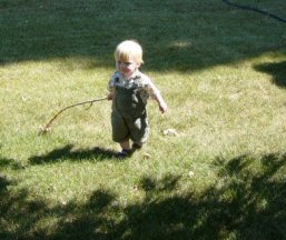Yard work